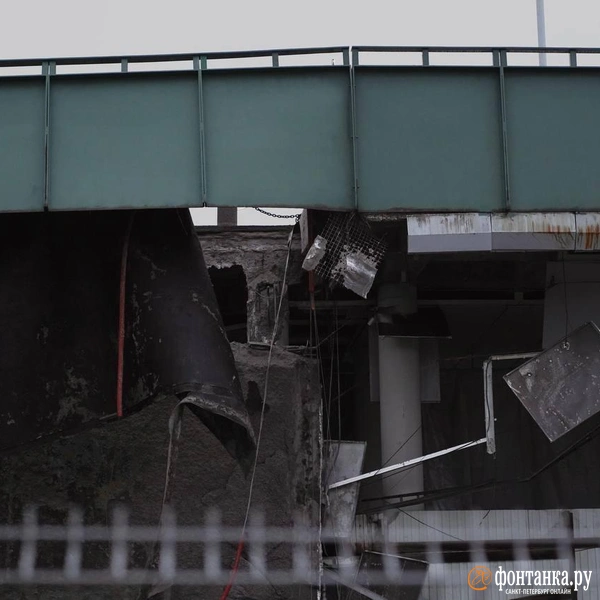 Источник: Павел Даиси/ «Фонтанка.ру»