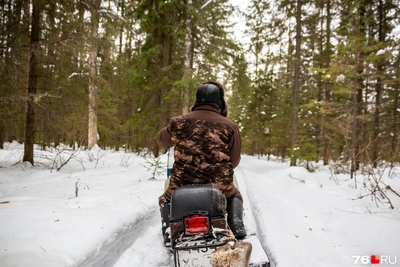 Необычные вакансии в Ярославской области с оплатой до 130 тысяч