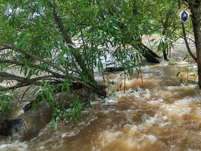 Пострадавшая потеряла равновесие и упала с сапборда в воду. | Источник: СУ СКР по Челябинской области 