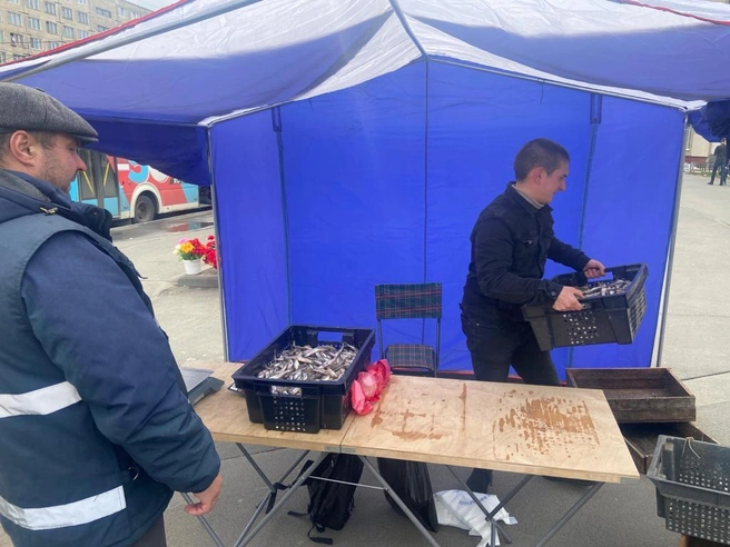 Источник: ККИ