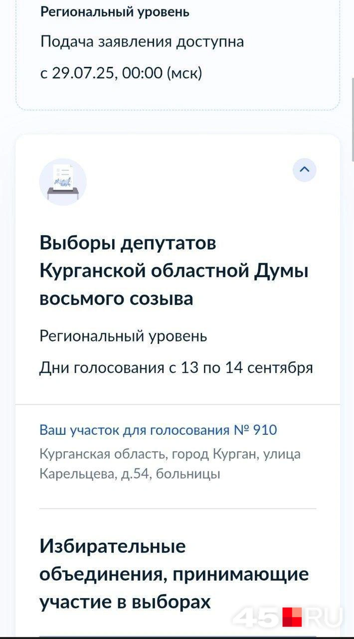 Скриншот с портала госуслуг | Источник: Алёна Кисель /45.ru
