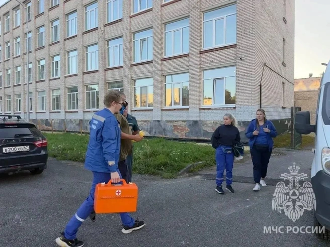 Упавшего с высоты мужчину на острове в Ленобласти смогли эвакуировать только вертолетом | Источник: МЧС России