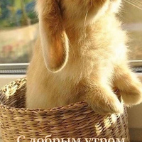 Аватарка Irina