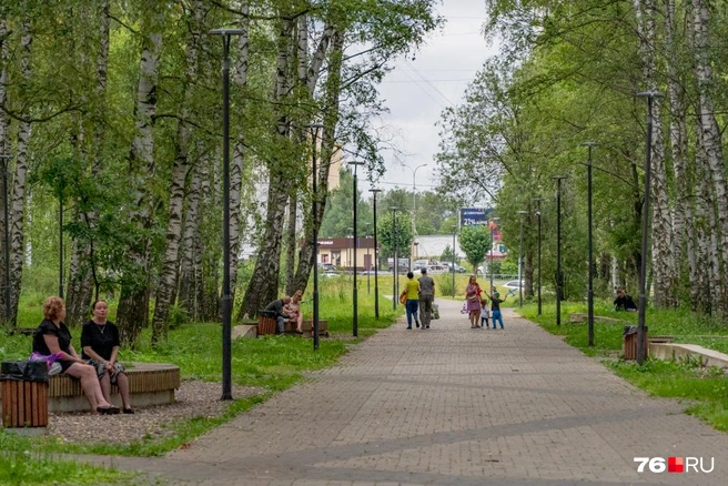 Помимо всего вышеперечисленного в парке не хватает кафе и туалета | Источник: Кирилл Поверинов / 76.RU