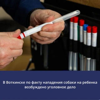 Источник: udm.sledcom.ru