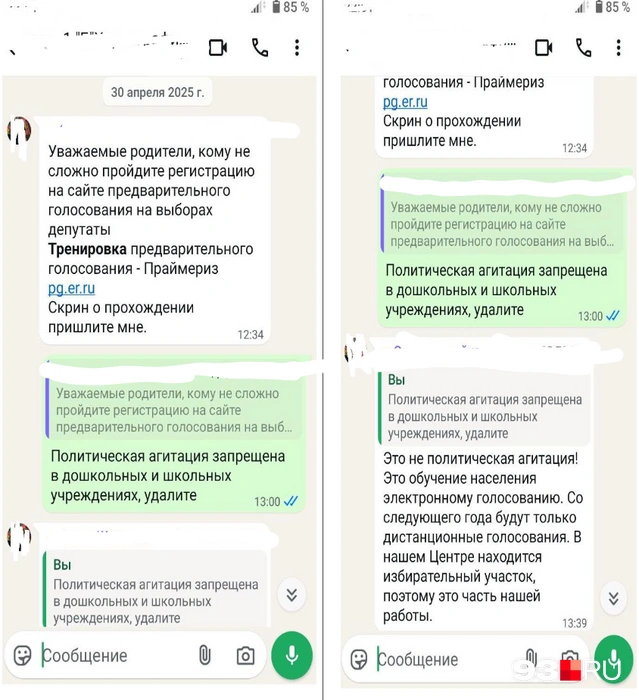 Педагог заявила, что со следующего года останется только дистанционное голосование | Источник: 93.RU
