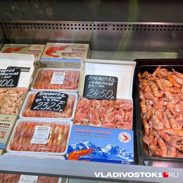 «Реми» | Источник: Елена Буйвол / VLADIVOSTOK1.RU