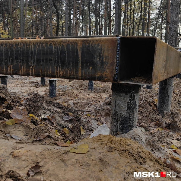 Источник: Дмитрий Бондарев / MSK1.RU