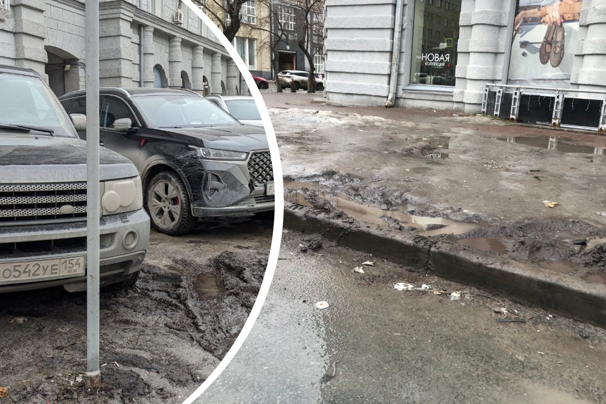 Весна показала, почему нельзя парковаться на тротуарах, — готовимся к пыли  - 31 марта 2024 - НГС.ру