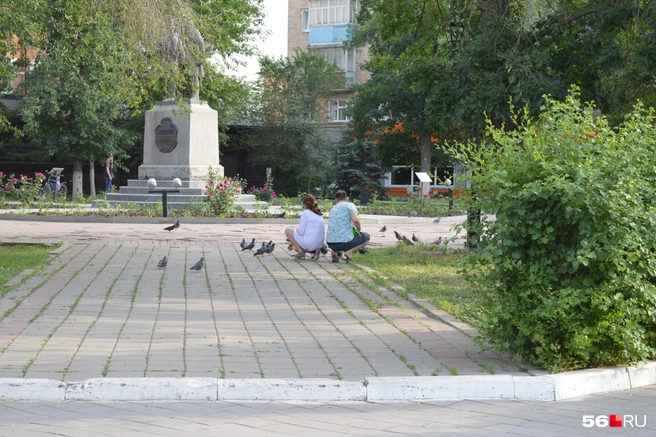 Женщина и мужчина кормят голубей в сквере Полины Осипенко, где стоит памятник Пушкину и Далю | Источник: Анастасия Баринова / 56.RU