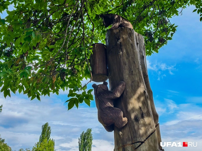 За мёдом полезли | Источник: Булат Салихов / UFA1.RU