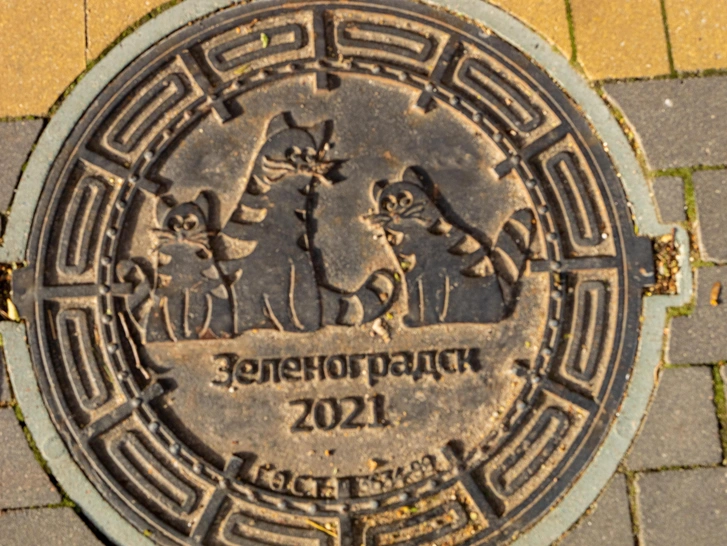 Крышка люка в Зеленоградске | Источник: Finist4/Shutterstock/Fotodom.ru