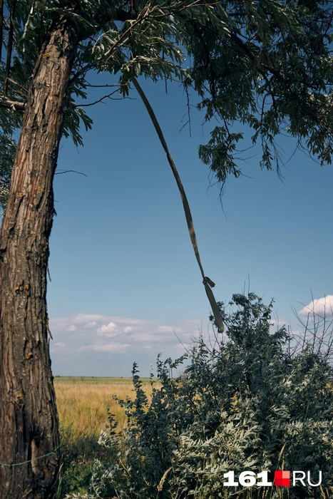 Источник: Артем Марьенко / 161.RU