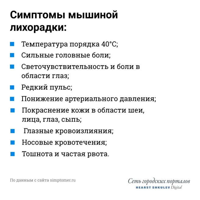 Источник: Анастасия Тихомирова