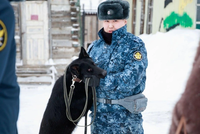 Индиго очень привязана к своему напарнику | Источник: пресс-служба УФСИН по Якутии