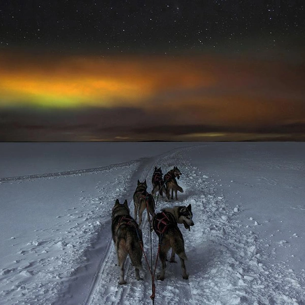Источник: Vadim Gorodnitsky / Fine Art Photography Awards 2025