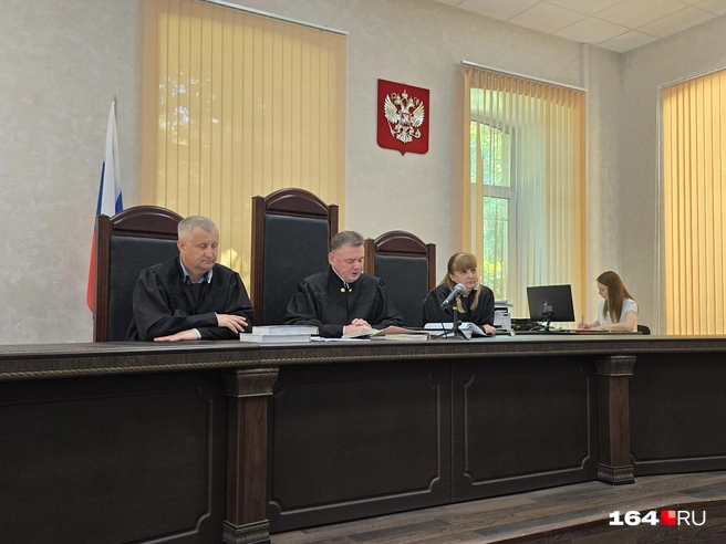 Дело Акопяна рассматривает тройка федеральных судей | Источник: Семен Коротов-Майбах / 164.RU