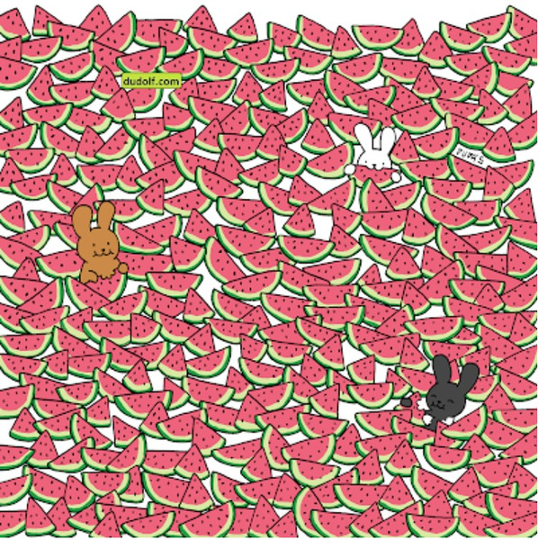 Художник забыл нарисовать семечки 5 арбузам: сумеете их найти?