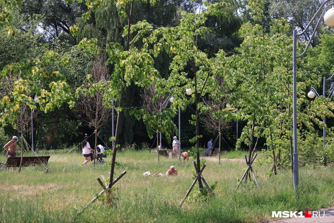 Но и в глубине парка можно встретить отдыхающих, они занимают лужайки рядом с аллеями | Источник: Татьяна Спиридонова / MSK1.RU