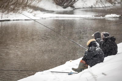 Секреты прикормки для карася от новосибирского рыболова