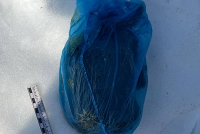 Казанку задержали за попытку сбыта наркотиков в Иванове