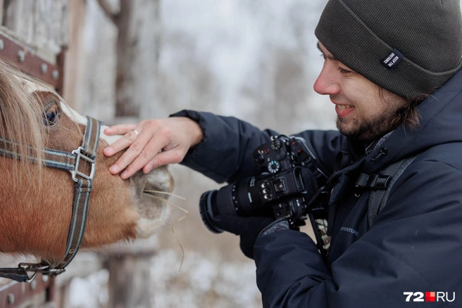 В центр «Рыжий конь» можно приехать не только покататься на лошадях, но и просто покормить их и погладить. Конечно, под присмотром сотрудников | Источник: Ирина Шарова / 72.RU