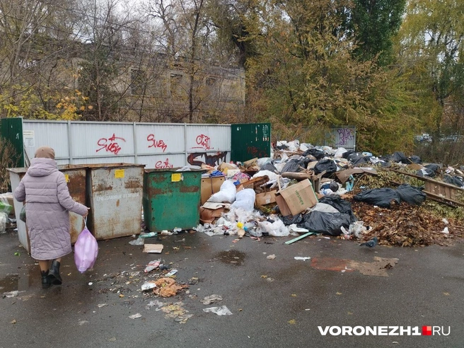 Источник: Дмитрий Волгин / Voronezh1.ru