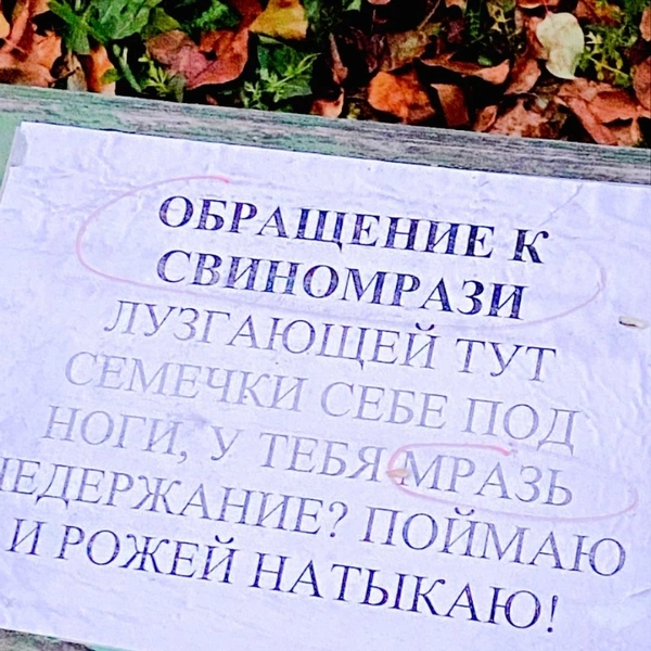Источник: «"[ПВК] Подслушано в Кольцово ЕКАТЕРИНБУРГ» / Vk.com