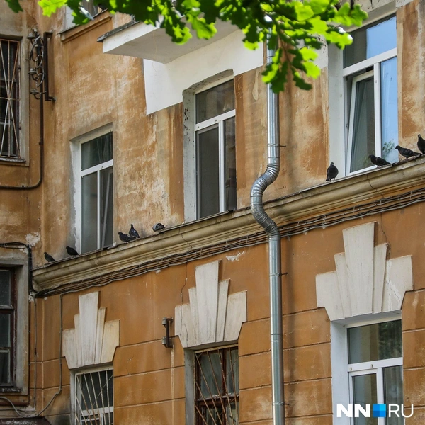 Источник: Наталья Бурухина / NN.RU