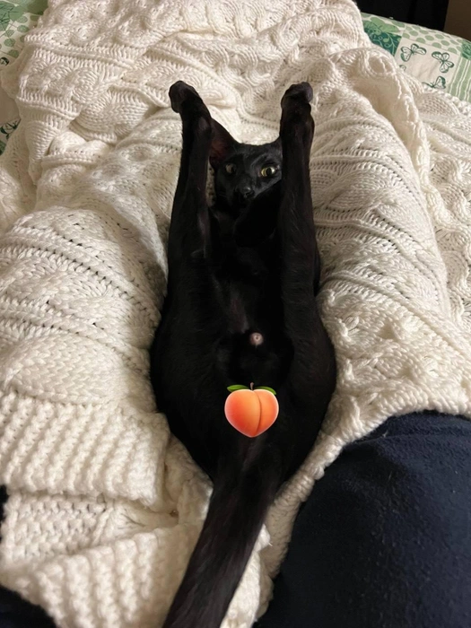 Источник: «Фонтанка.ру»