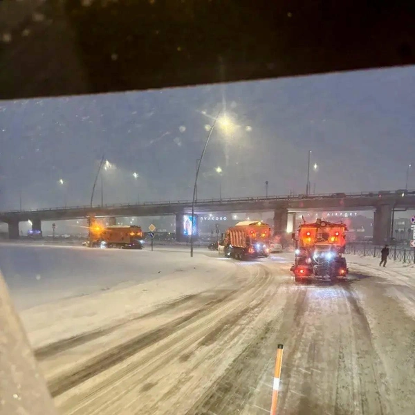 Источник: Комитет по благоустройству