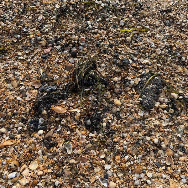 Пока выбросы небольшие | Источник: Валерия Дульская / 93.RU