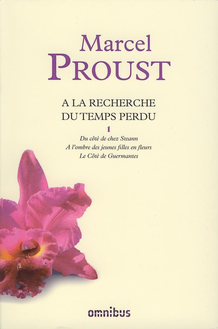 Temps perdu. Proust Temps. La recherche журнал. Marcel Proust à la recherche du Temps perdu vi le Côté de Guermantes картинки.