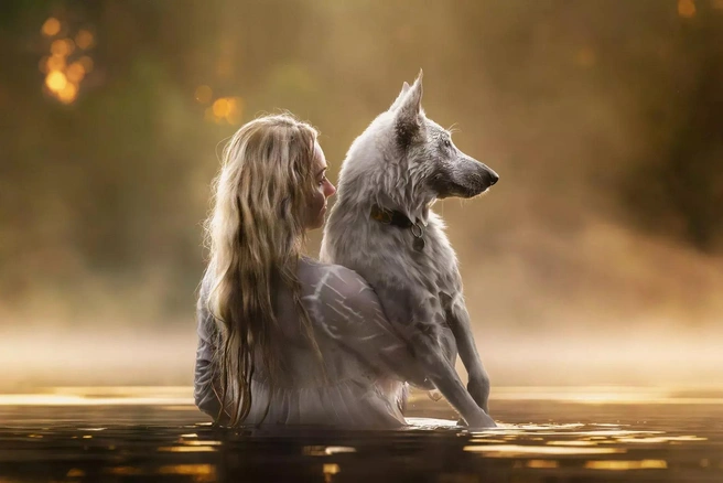 Источник: Tomasz Nitka / Dog Photography Awards — 2024