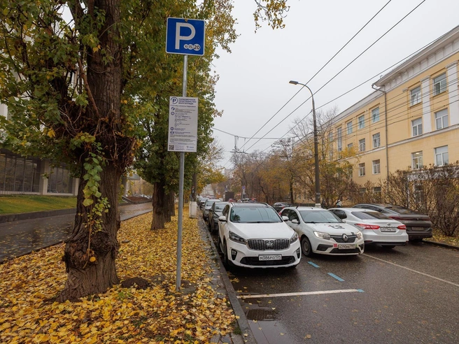 Синяя разметка и знаки, обозначающие платную парковку, уже установлены, но оплата пока не требуется | Источник: Алексей Волхонский / V1.RU