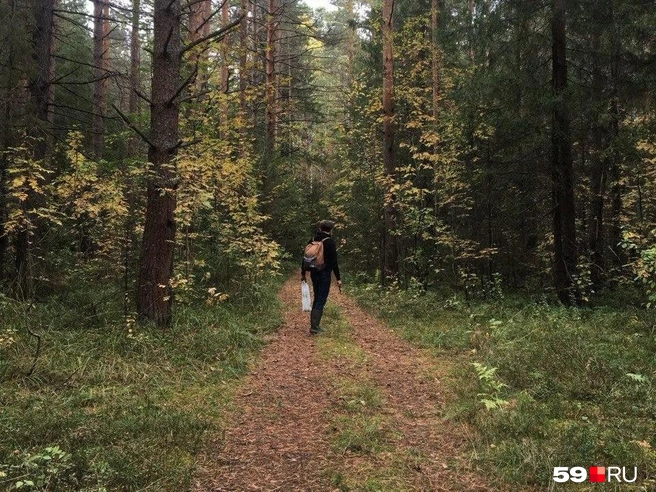 Грибники всегда готовы к «тихой охоте». Понять их можно — дело захватывающее | Источник: Екатерина Вохмянина / 59.RU