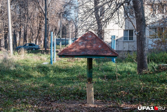 А здесь вообще только гриб остался | Источник: Булат Салихов / UFA1.RU