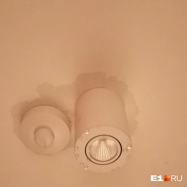 Источник: читатели E1.RU