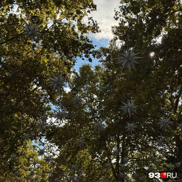 Ночью всё светится еще красивее | Источник: Дарья Паращенко / 93.RU