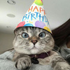 userpic__насильник