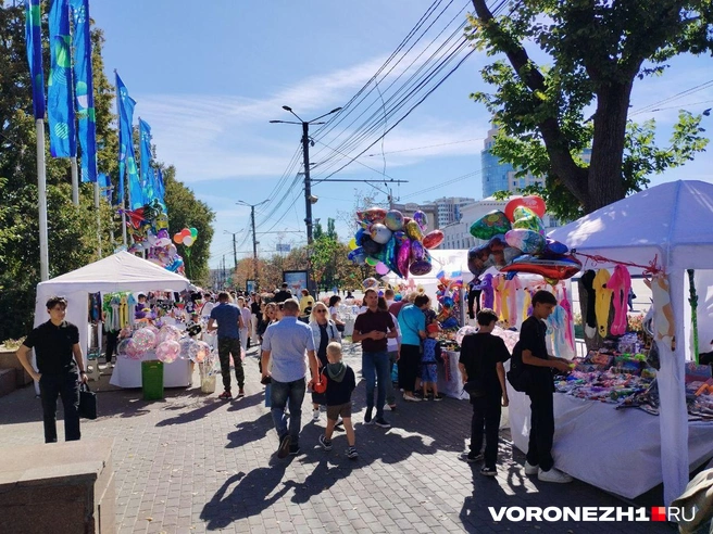 День города прошел в усеченном формате — без множества развлечений и салюта | Источник: Дмитрий Волгин / Voronezh1.ru