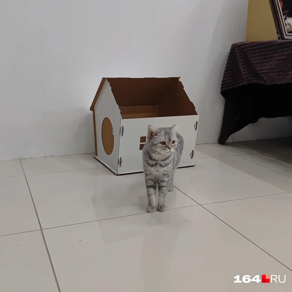 Источник: Сергей Гендин / 164.RU