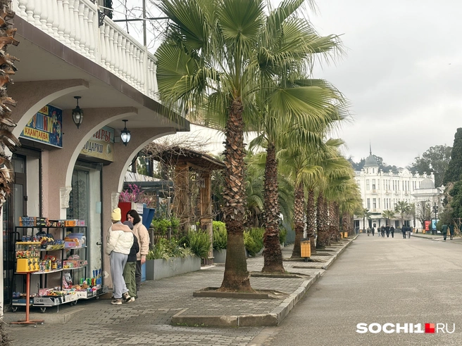 Сувениры в Сухуме дешевле, чем в Гагре  | Источник: Анна Грицевич / SOCHI1.RU