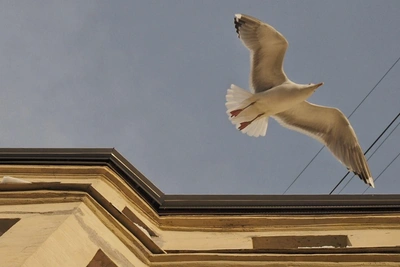 Циклон в Европейской России 24 февраля повлияет на погоду