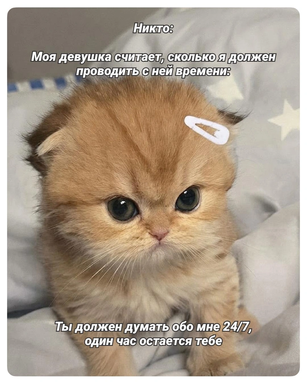 Зафиксируем письменно | Источник: Городские медиа