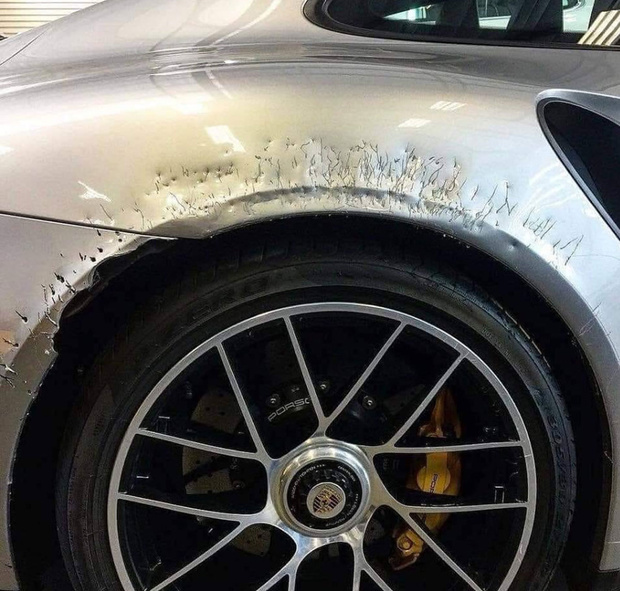 Фото №1 - Собака лауреата «Грэмми» изуродовала его Porsche ценой $250 000