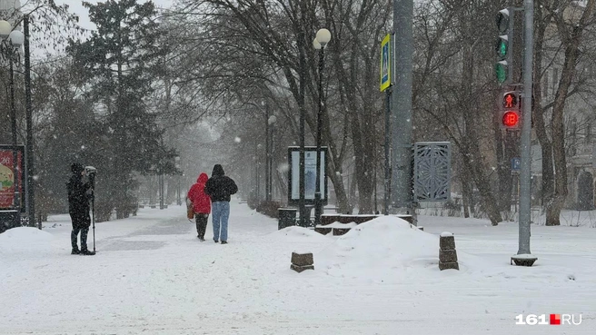 В понедельник Ростов занесло | Источник: Ренат Дайнутдинов / 161.RU