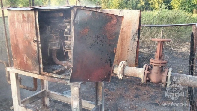 Источник: МЧС по Нижегородской области
