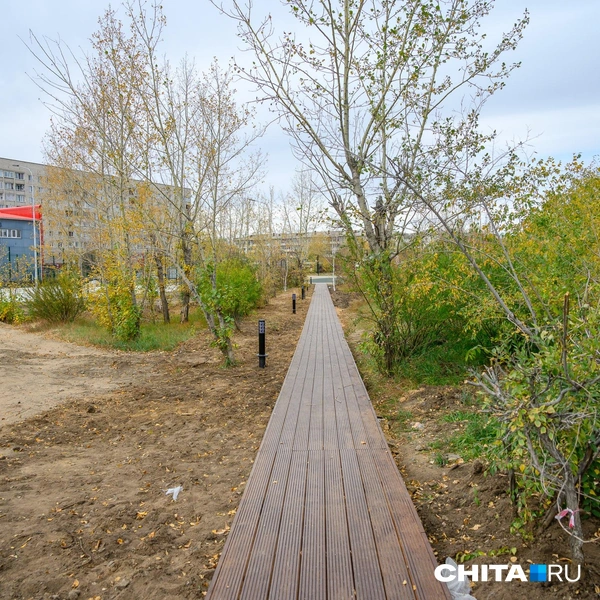 Источник: Олег Фёдоров / CHITA.RU