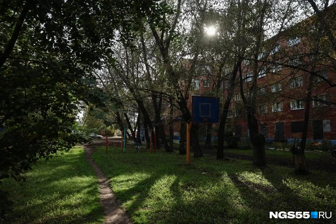 По вытоптанной траве, можно понять, что баскетбольное кольцо пользуется спросом | Источник: Евгений Софийчук / NGS55.RU